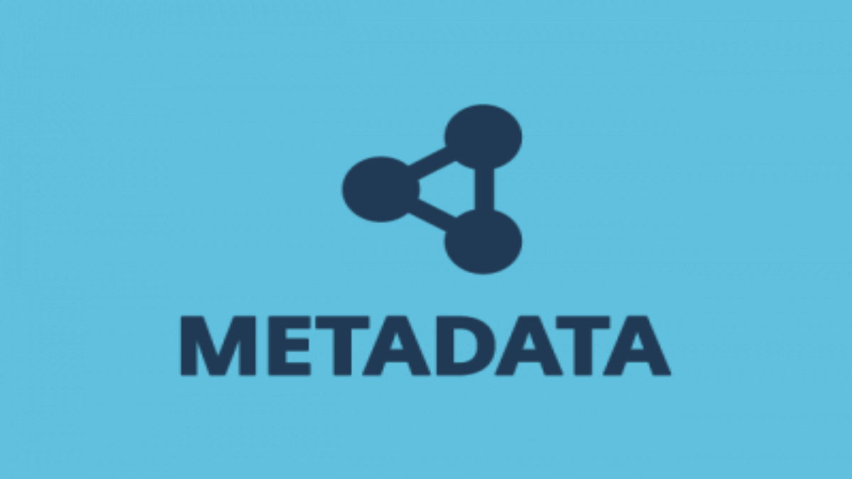 Metadata for multilingual SEO website