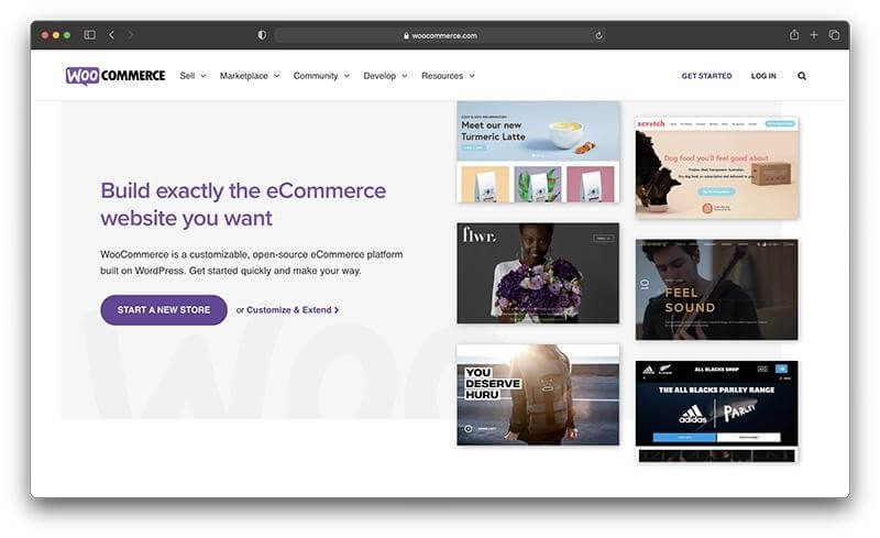 shopify ecommerce platforms