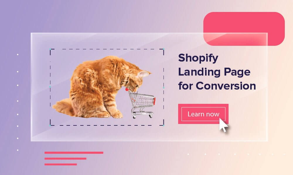 How to Optimize Your Shopify Landing Page to Increase Conversions